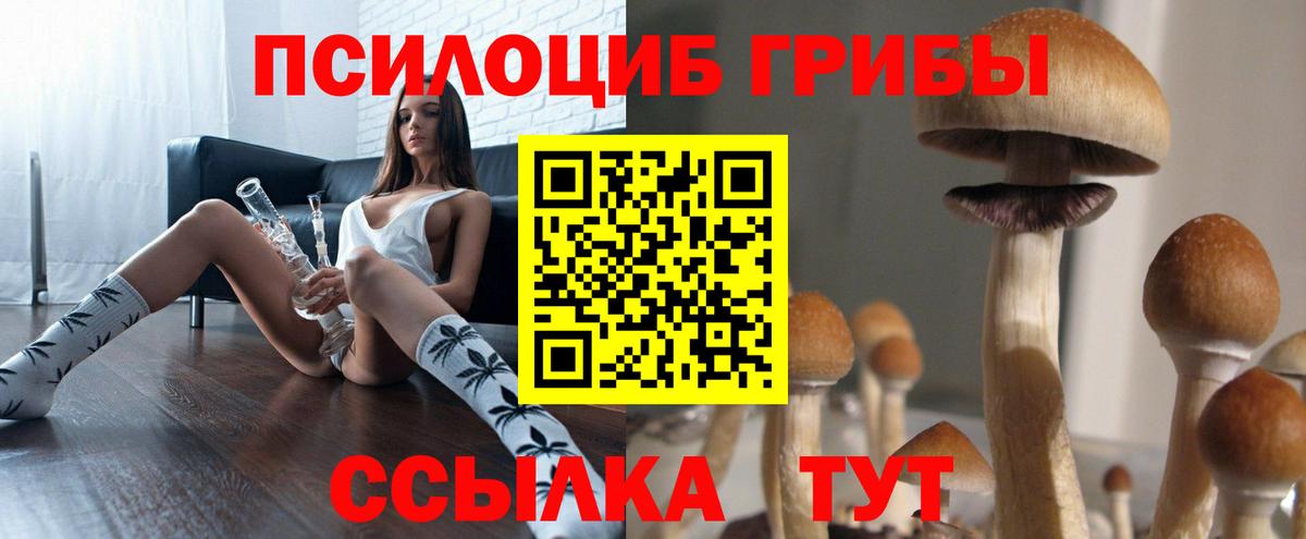 Феодосия  магазин  наркотиков  Вход с VPN  Псилоцибиновые грибы MAGIC MUSHROOMS 
