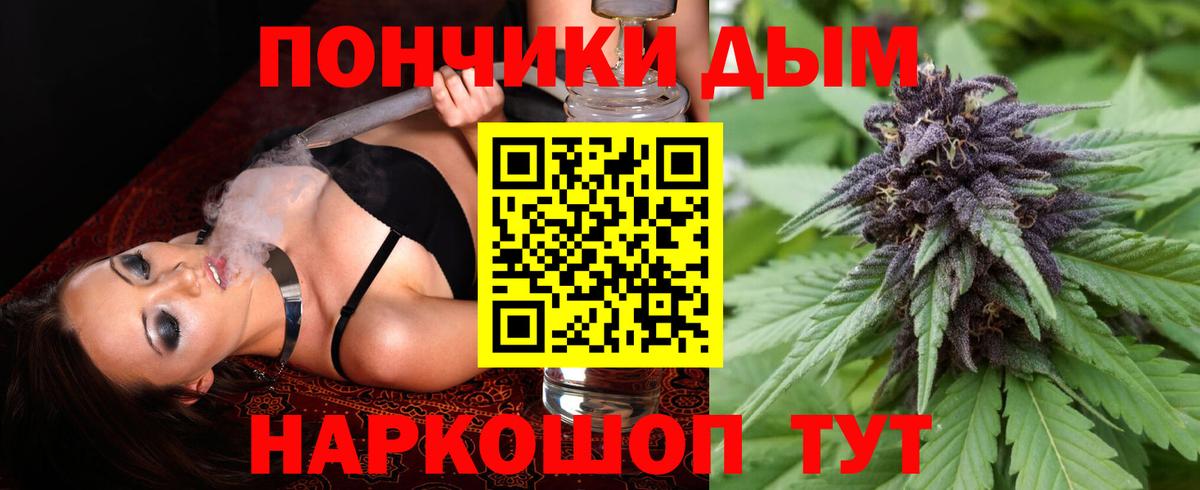 Бошки Шишки семена  Марихуана гибрид  Феодосия  Бошки Шишки SATIVA & INDICA  Марихуана VHQ  Вход с VPN 